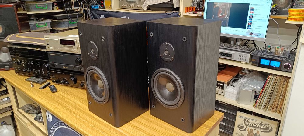 Акустика Infinity-RS 3001