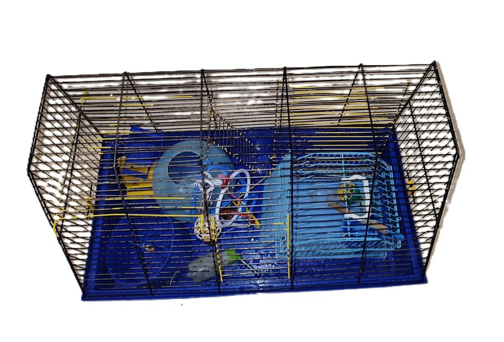 Набір для хом'ячків