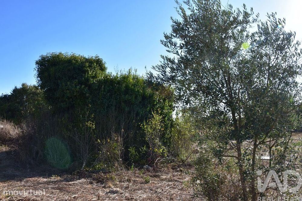 Terreno para construção em Areias e Pias de 8120,00 m2