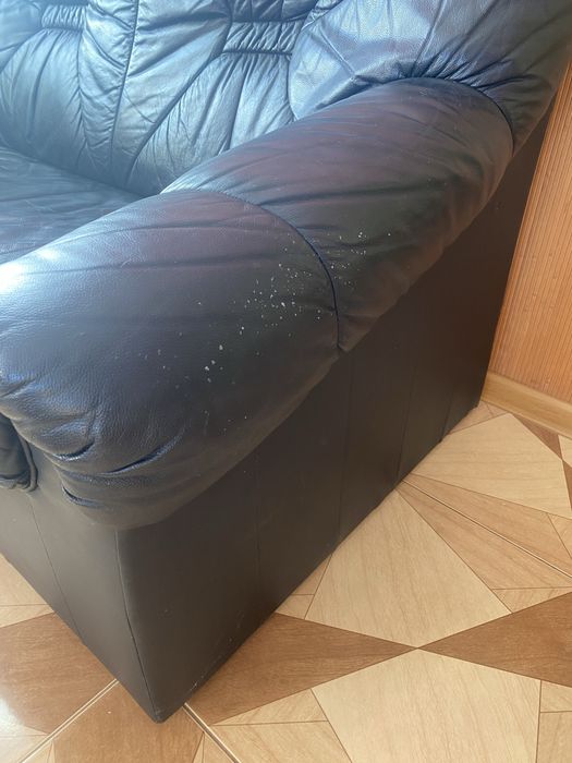 Шкіряний диван двійка та крісло