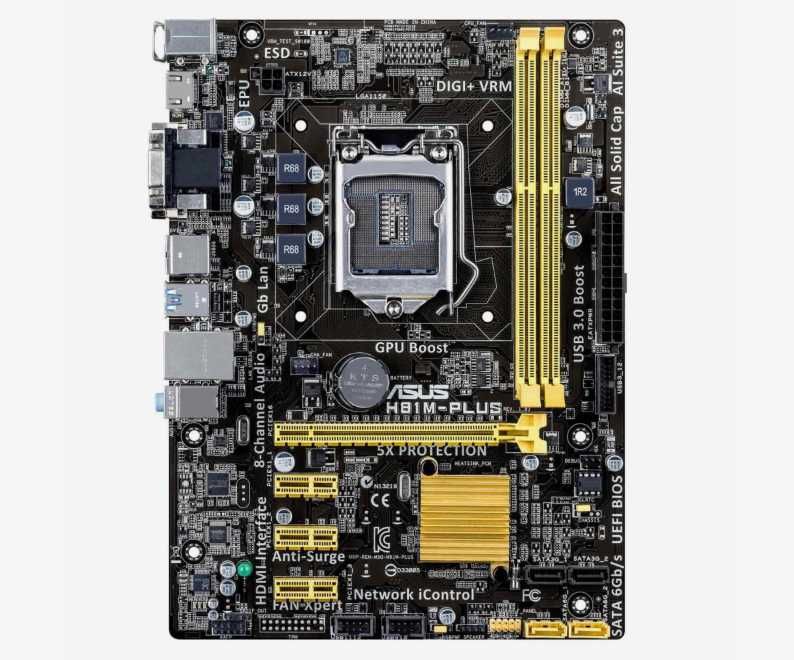 Płyta główna ASUS H81M-PLUS