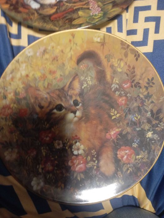 Talerze porcelana koty kolekcjonerskie 5 szt.