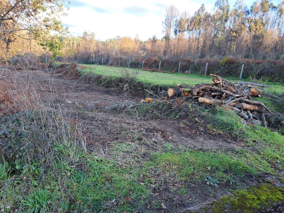 Terreno rústico a face da estrada. 5300 m2 em Cortinhas.