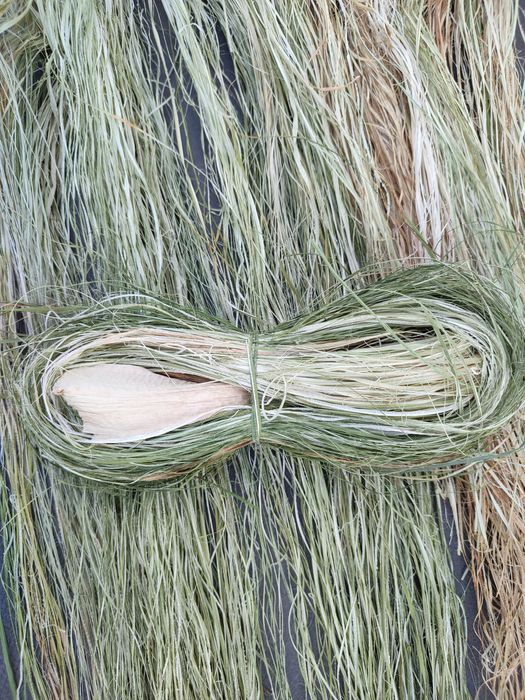 Рогіз рогоз рогоза рафія чесаний рогіз