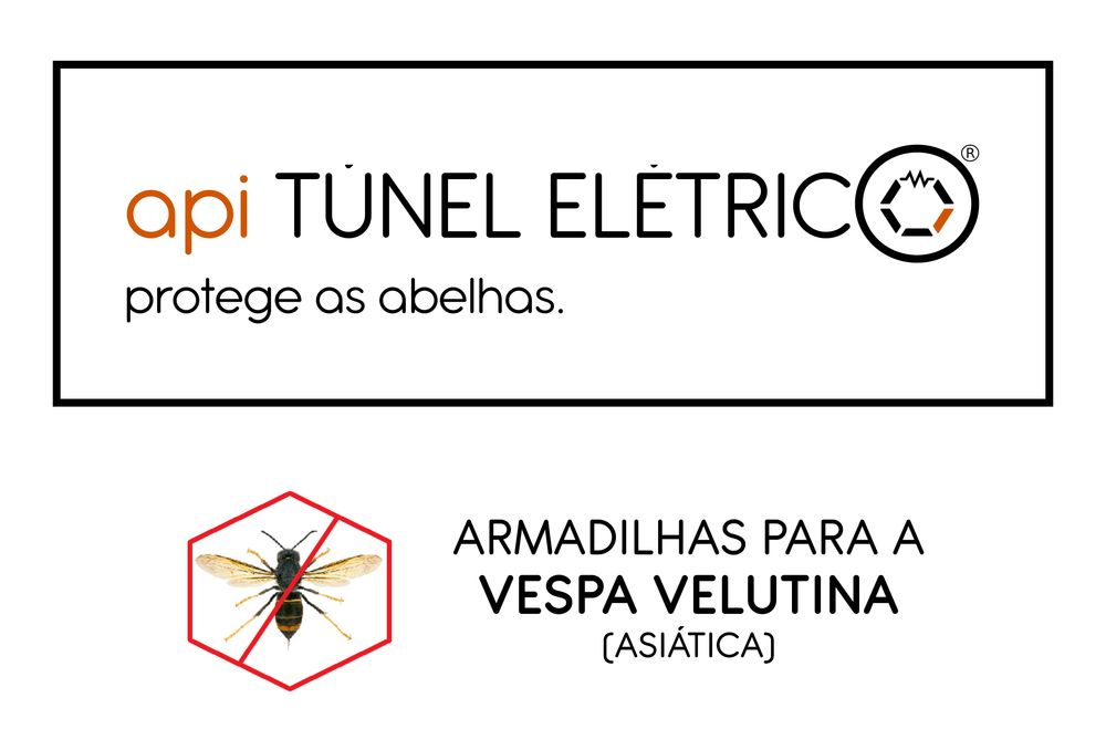 NOVA GERAÇÃO Placas Mata Vespa Velutina - Vespa asiática