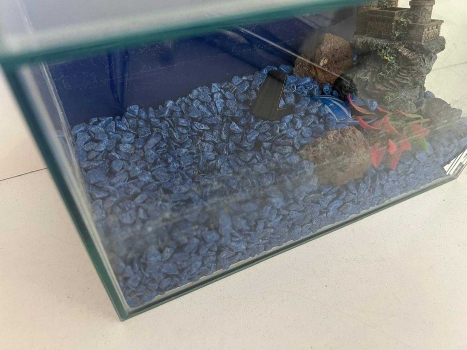 Tanque de Vidro (25 x 12 x 16 cm)