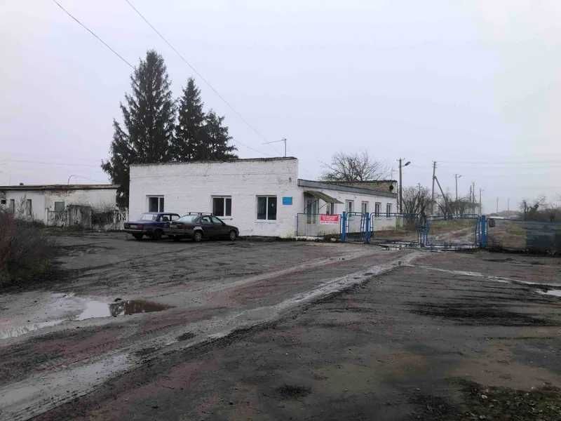 Майно птахофабрики, 48392 кв. м, вул. Кооперативна, 10А