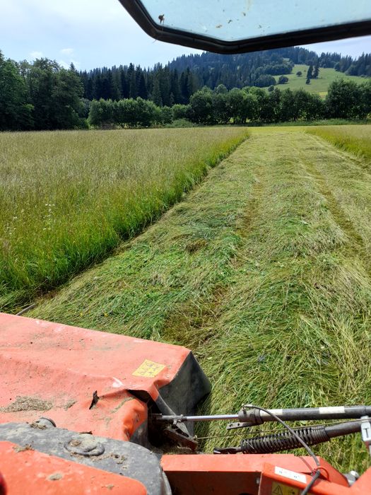 Bale baloty bole sianokiszonka