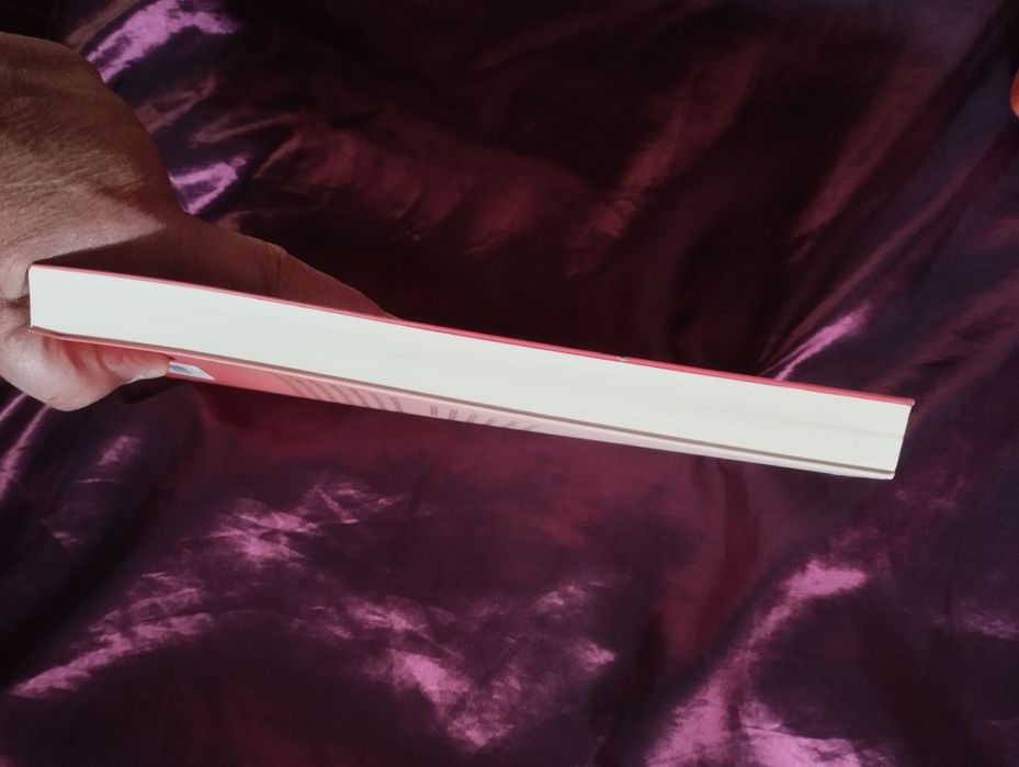 Livro de Rui Zink " o amante é sempre o último a saber "