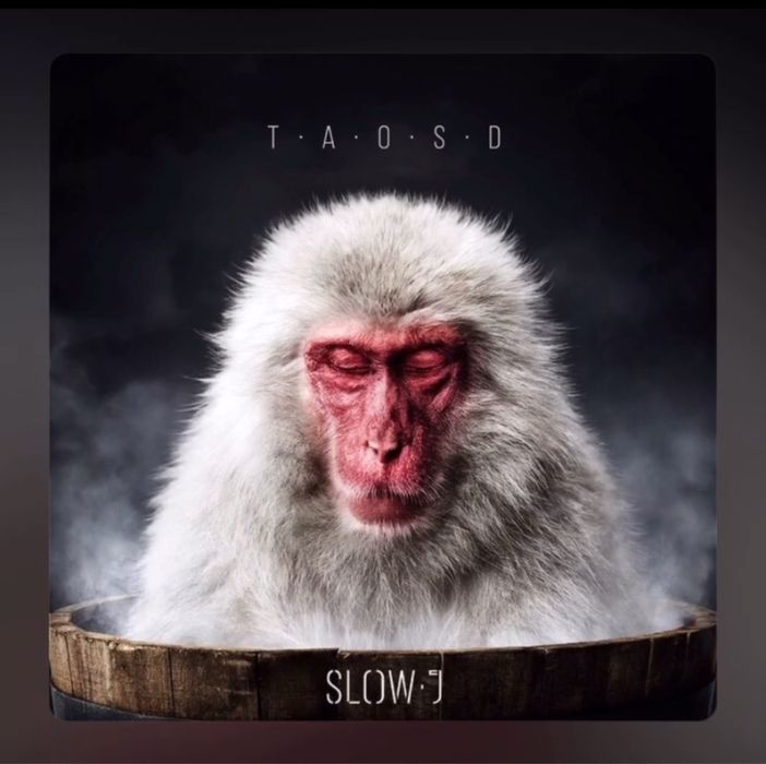 Vinil slow j the art of slowing down taosd LP NOVO