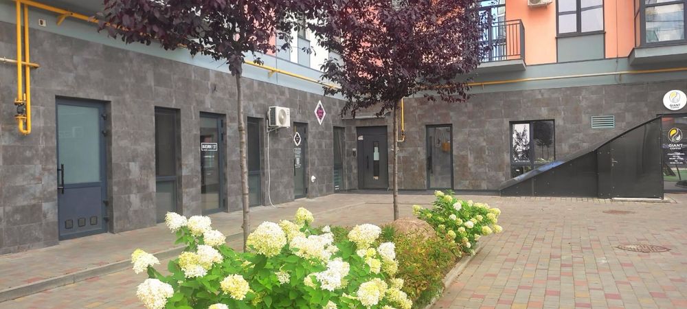 Здам в оренду комерційне приміщення 66,6 м2  м. Луцьк, ЖК Дрім Таун