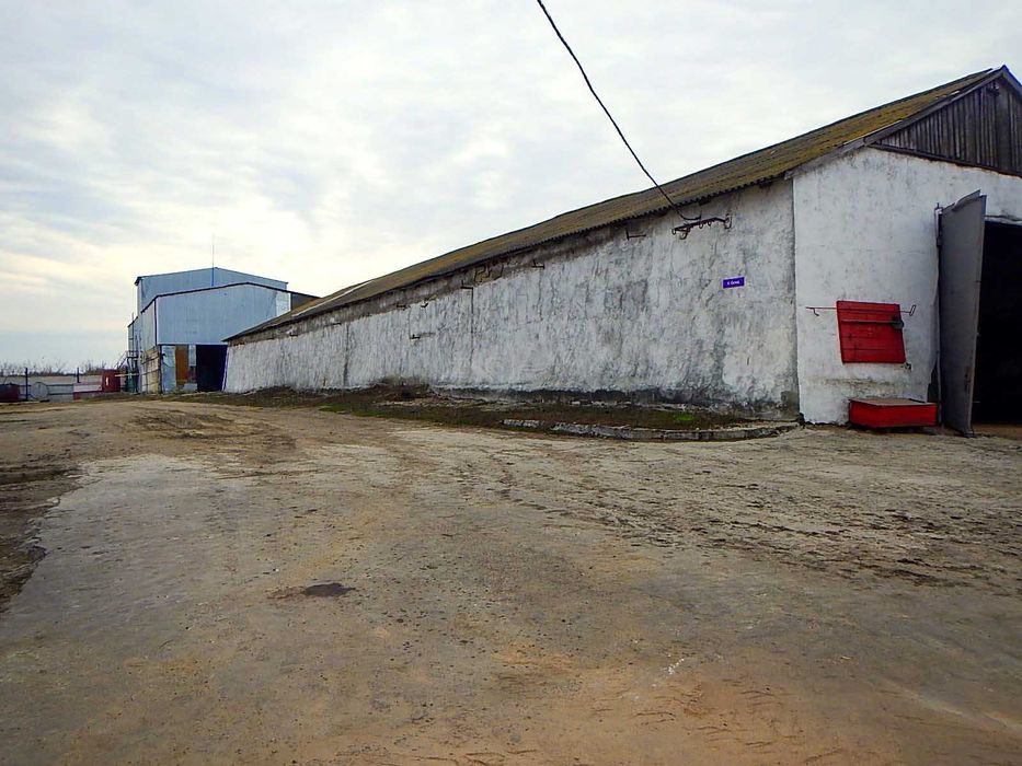 Продається завод з переробки олійних культур та комбікормів