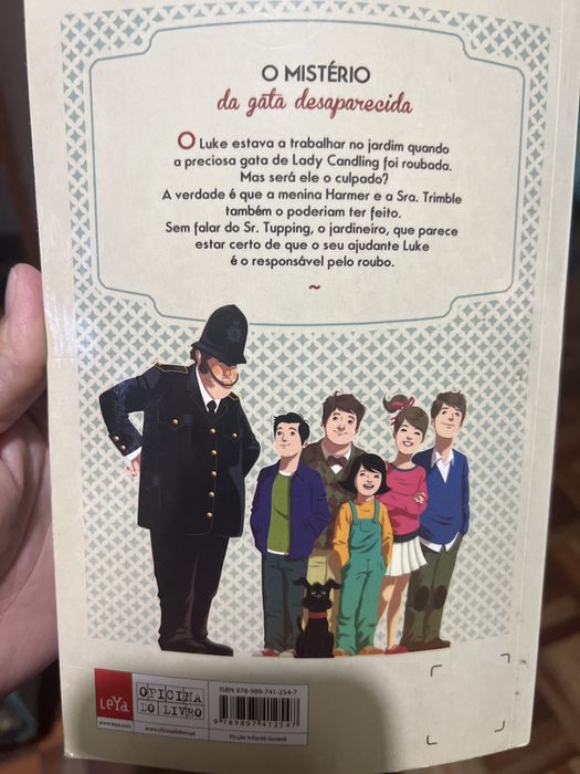 Livro O Mistério da Gata Desaparecida