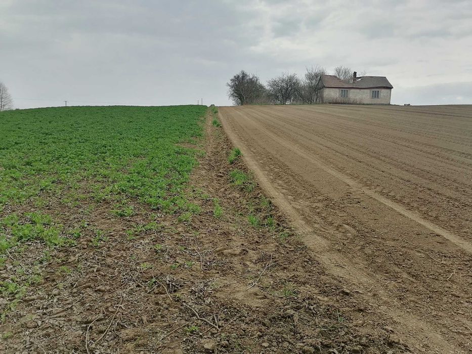 Działka, siedlisko z domem, pole 0,5ha