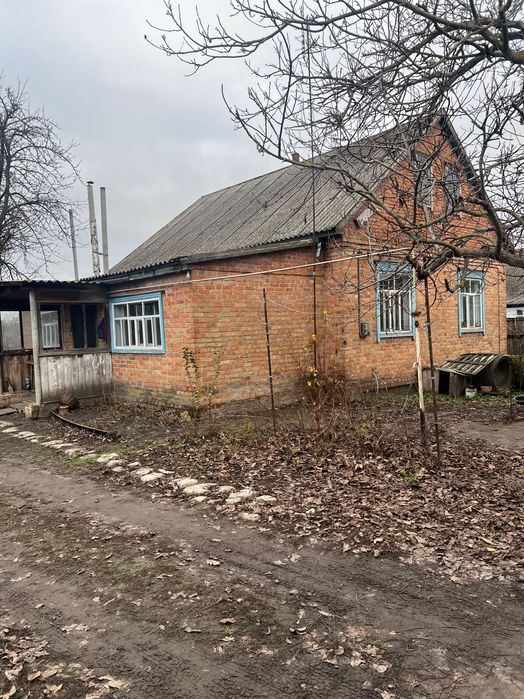 Продаж будинку у Великих Сорочинцях, 87 кв.м — газовий котел, великий двір, розвинена інфраструктура.