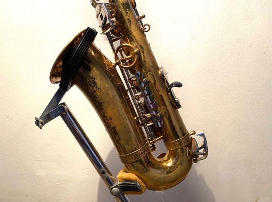 Saxofone Alto Dolnet “Super Studium” + Selmer Pak