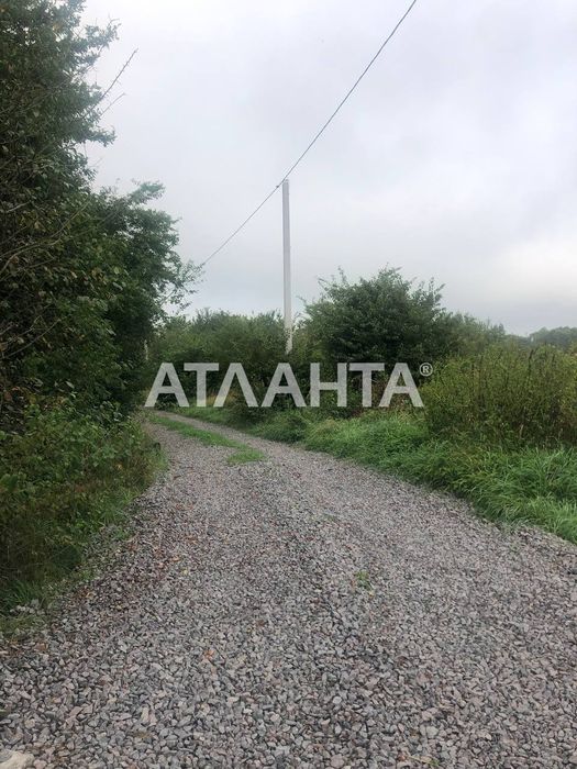 Продаж двох суміжних земельних ділянок у с. Суховоля