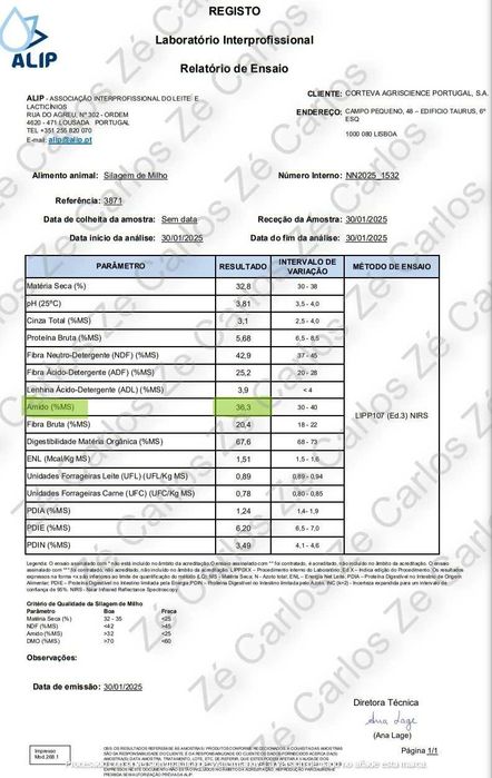 Silagem milho, colheita 2025. Alto Minho. 85€/ton, 0,085€/kg