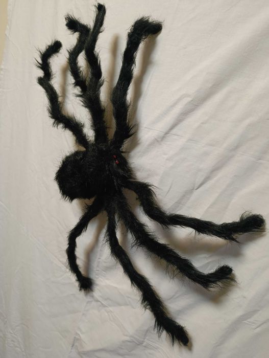 Aranha preta 50x50cm