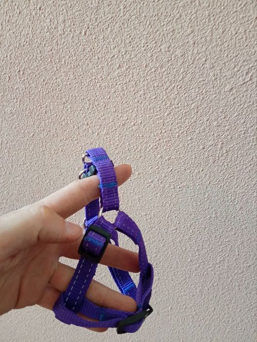 поводок для кошки