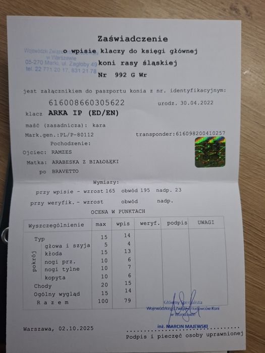 Sprzedam klacz śląska