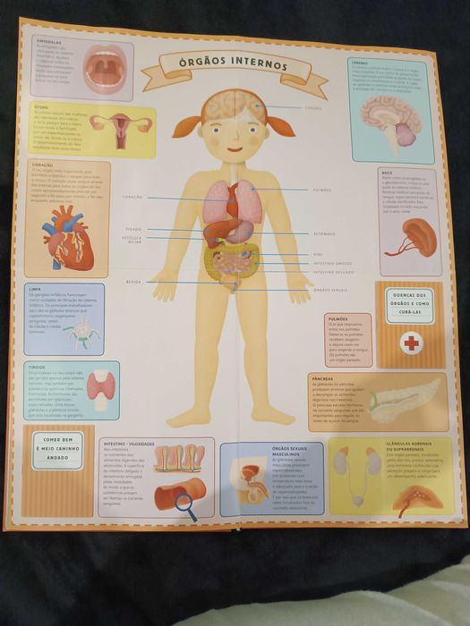 Atlas o corpo humano