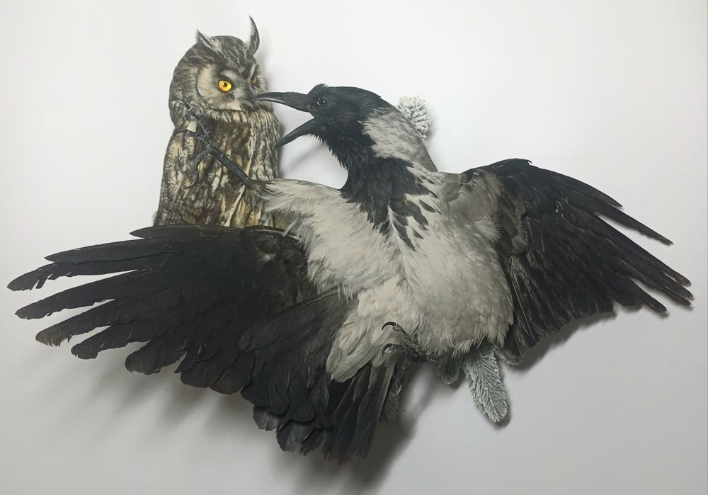 Таксидермія опудало