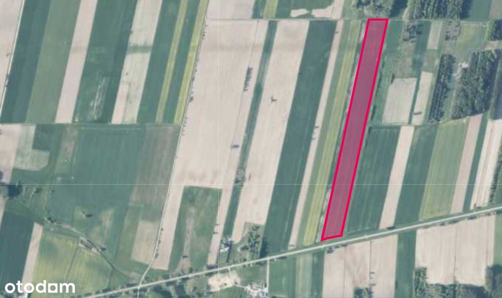 Duża działka rolna w Zajęcznikach, 5.1182ha I RIIIa, RIVb, RIIIb, RIVa