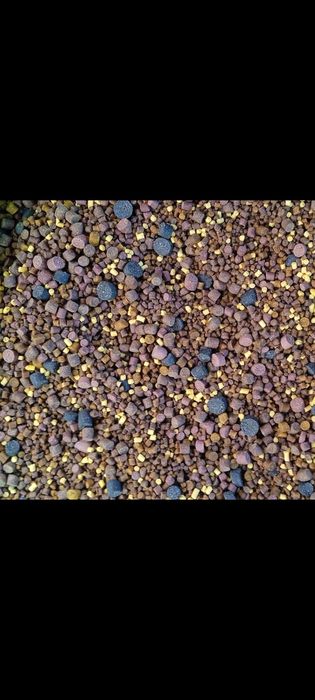 Харчування для Коропа від MANGO CARP.