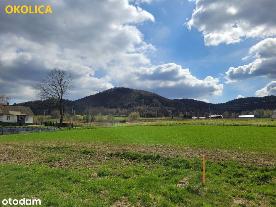 BEZPOŚREDNIO widokowa dz rolna Inwałd 5371 m²