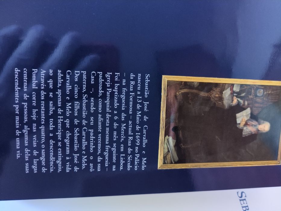 Sebastião José de Carvalho e Melo de João Bernardo Galvão-Telles