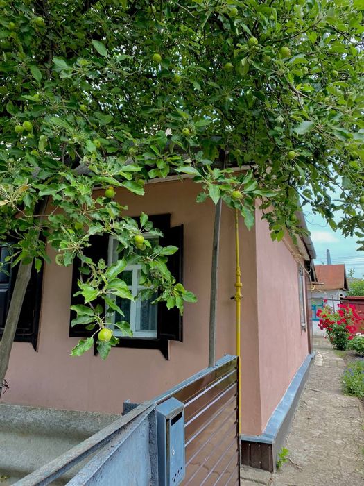 Продам ДОМ г. Лозовая в городе (р-н поликлиники)