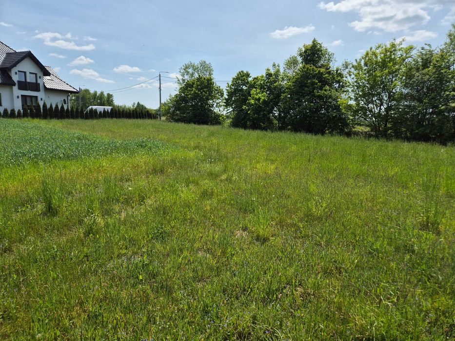 Działka budowlana Leszczyny 1900 m² - Widok 3