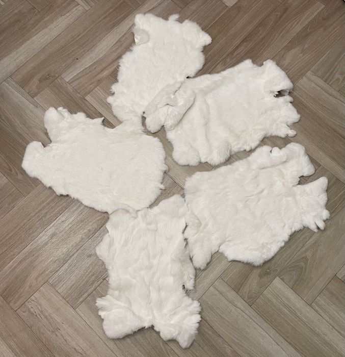 Skóra królik, skóry królicze, futro z królika, Skóry z królika
