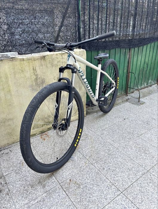 specialized rockhopper 29