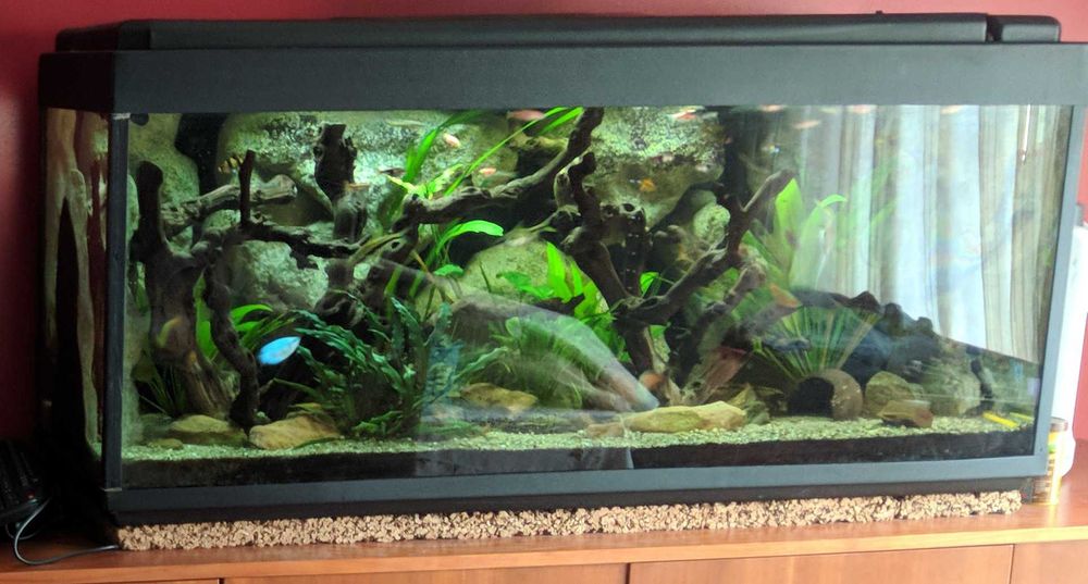 Aquário Completo de 120 cm