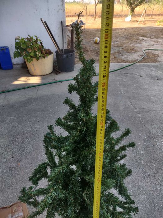 arvore de natal pequena