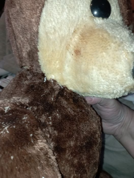 Miś trociniak PRL ,