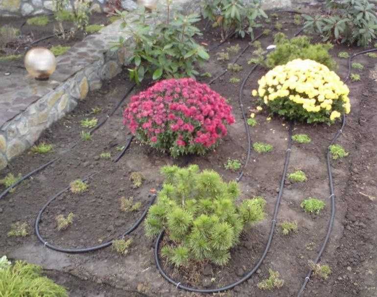 Акція! - Автополив, Автоматический полив зі знижкою діє до 31 березня