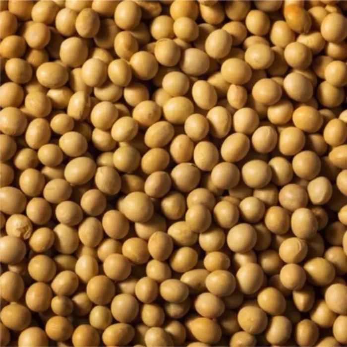 Насіння сої канзас середньоранього сорту