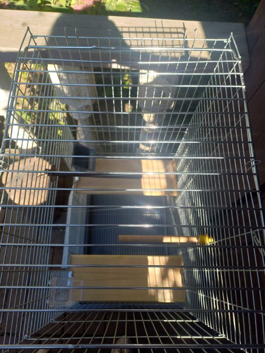 Клітка для папуги