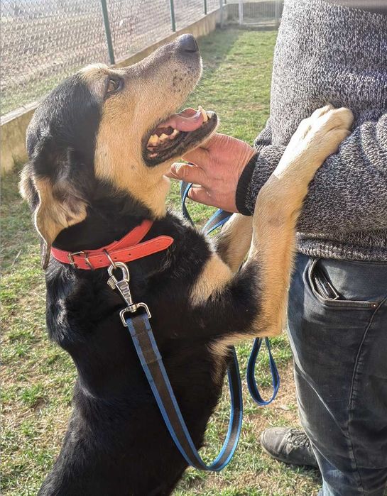 Tosiek będzie kochać