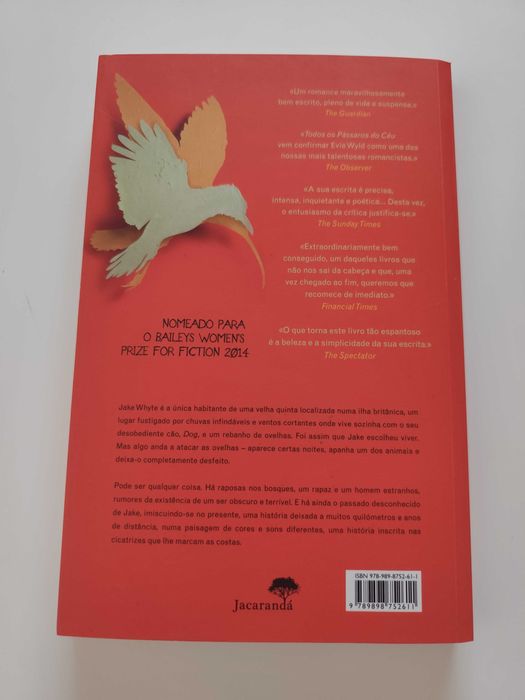 Todos os pássaros do céu de Evie Wyld