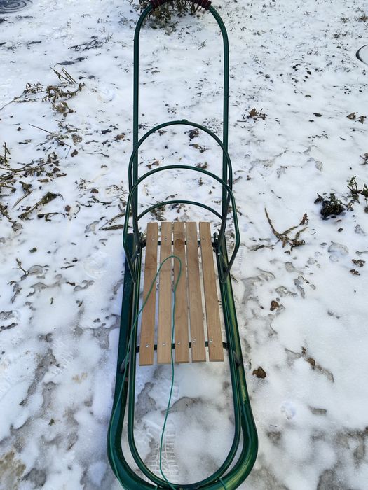 Дитячі санки з батьківською ручкою