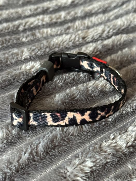 Нашийник xs wau dog