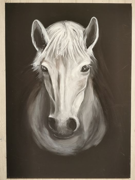 Ręcznie malowane obrazy. Akryl na płótnie. 

- Wpadłe