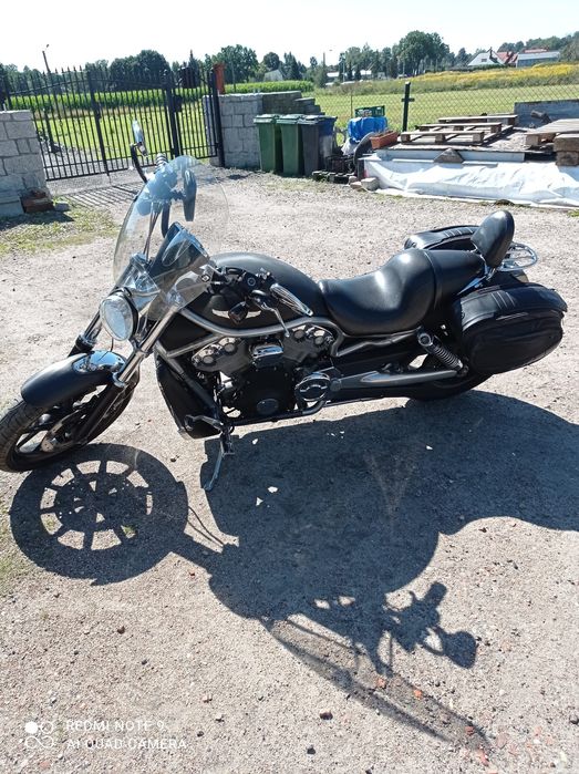 Harley Davidson V-Rod  VRSCA -sprzedam
