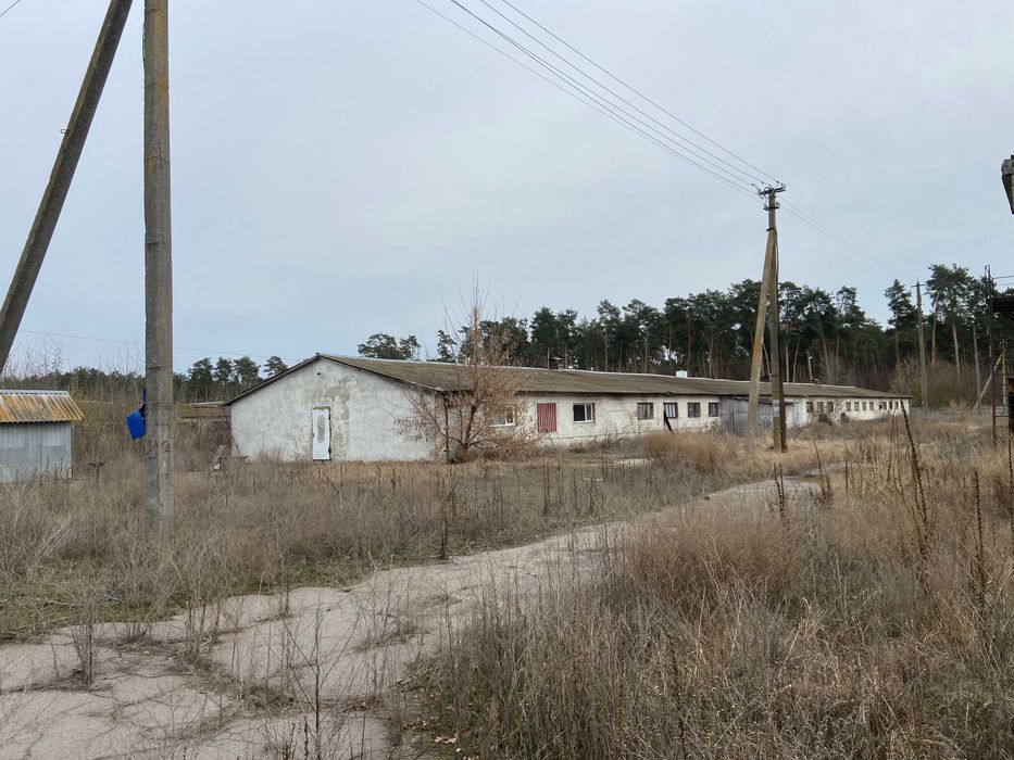 Продаж нежитлових приміщень (ферма) 10589,9м², 9,7592га, Черкаська обл