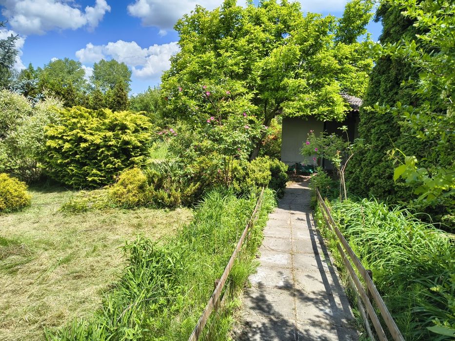 Działka ROD 705 m² Narutowicza - Widok 3