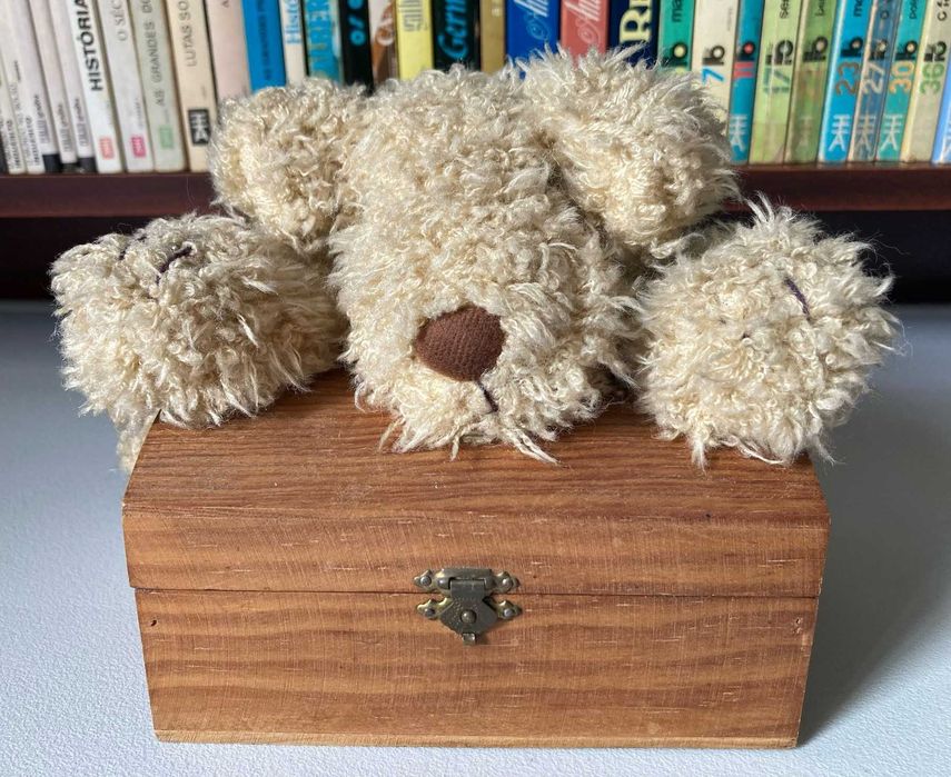 Caixa de Madeira com Peluche